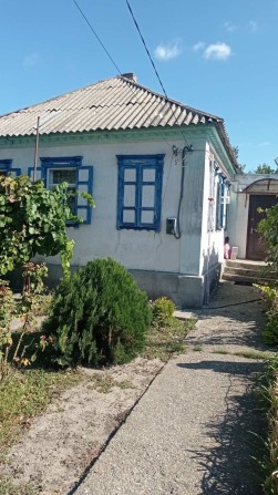 Продам Дом Приднепровск -чапли - фото 1