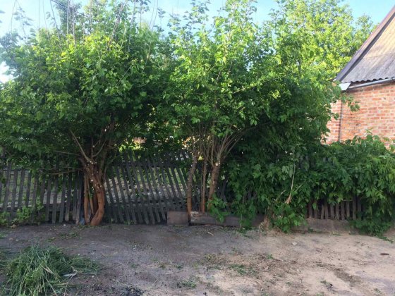 Продам часть дома Правый берег