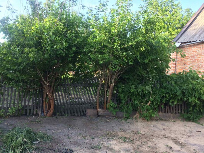 Продам часть дома Правый берег - фото 1