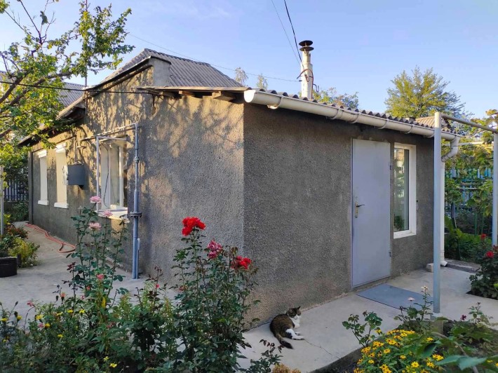 Приватний будинок на Бородинському - фото 1