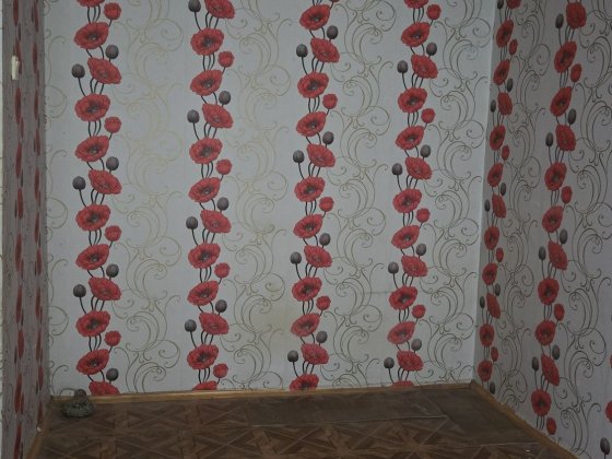 Здається бюджетна 1 но кімнатна квартира Ніжин