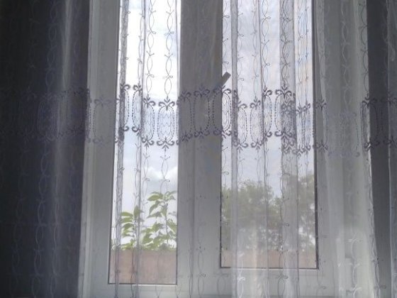 Здам квартиру в комуналці Прилуки