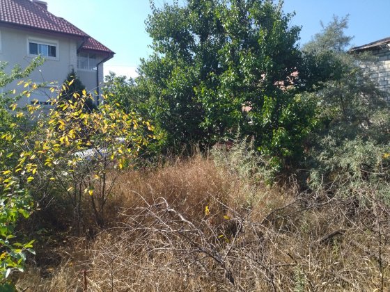 Зазимье -сады  лучшее место в кооперативе+двойной участок. Киев