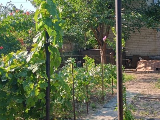 Продам дачу в Приднепровске Дніпро