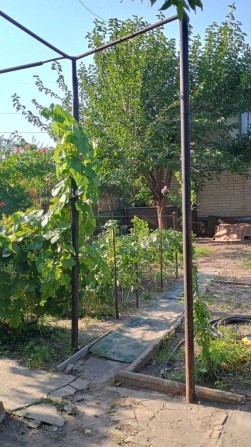 Продам дачу в Приднепровске - фото 1