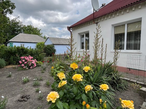 Продам дом в Березановке.19 соток земли. Дніпро