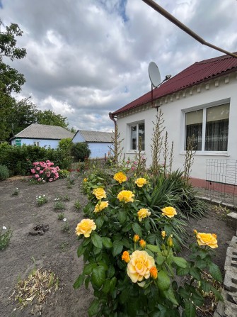 Продам дом в Березановке.19 соток земли. - фото 1