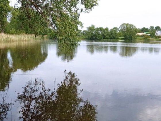 Здам 3 кім кв.в 6 км.від м.Горохів! Горохів