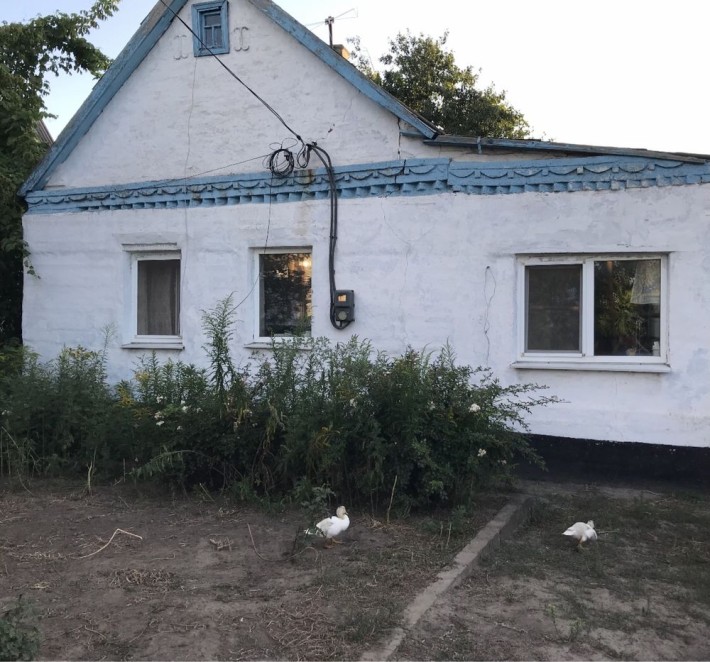 Продам  дом,Диевка 2. - фото 1