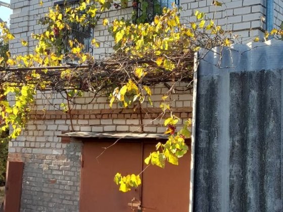 Продается дача с.Кандаураво Кропивницький