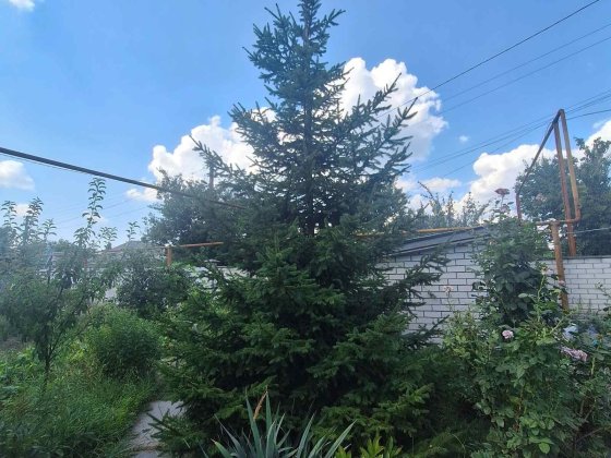 Продам дом Диевка 2 Дніпро