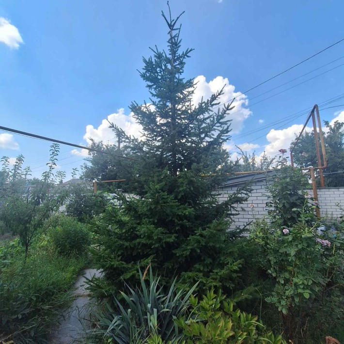 Продам дом Диевка 2 - фото 1