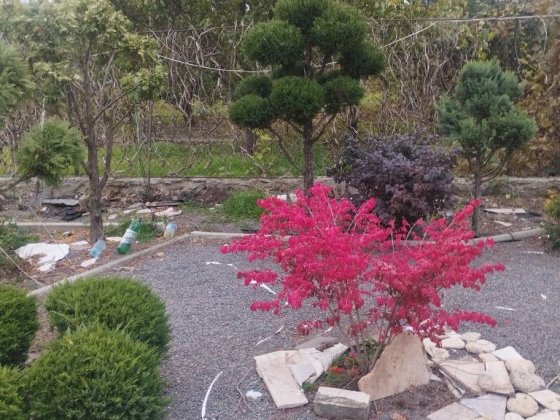 Сдам на длительный период Фонтанка