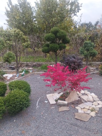 Сдам на длительный период - фото 1