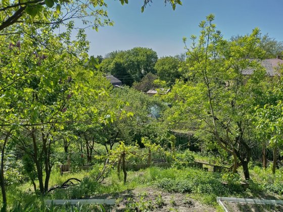 Будинок+20 соток приватизованої землі, Лобановського Киев