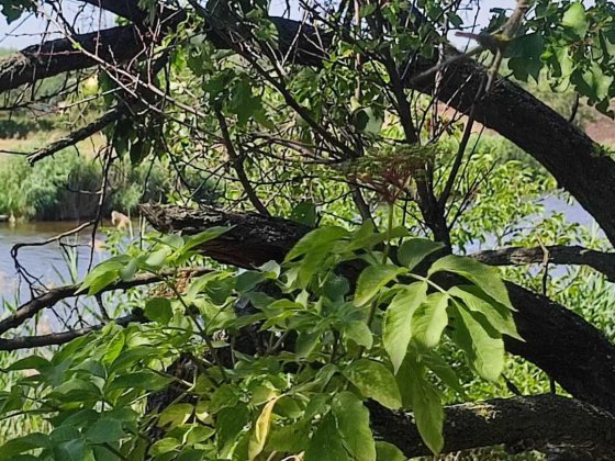 Продам дом ул. Хороводная, 10 сот. земли