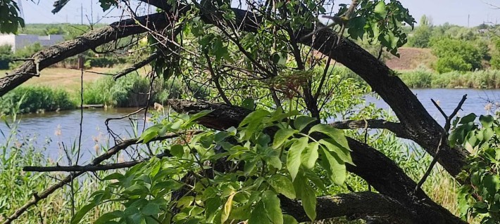 Продам дом ул. Хороводная, 10 сот. земли - фото 1