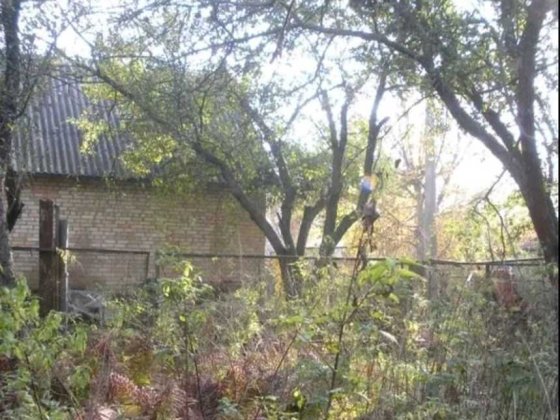 Продам дом, пр-т Победы, пр-т , Берестейский, м.Житомирская Киев