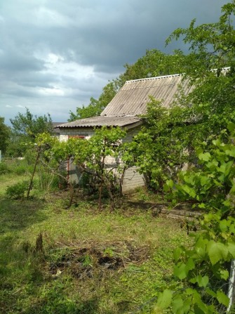 Дачу продам в Новокодацком районе рядом Лесопарк - фото 1