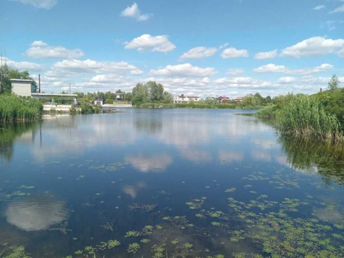 Без% Вихід на Дніпро Будинок 246м 34 сот електрика Центральна Осокорки - фото 1