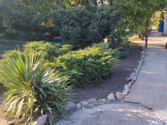 Продам дачу поруч з містом.