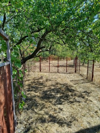 Продам дачу СТ Денис. - фото 1