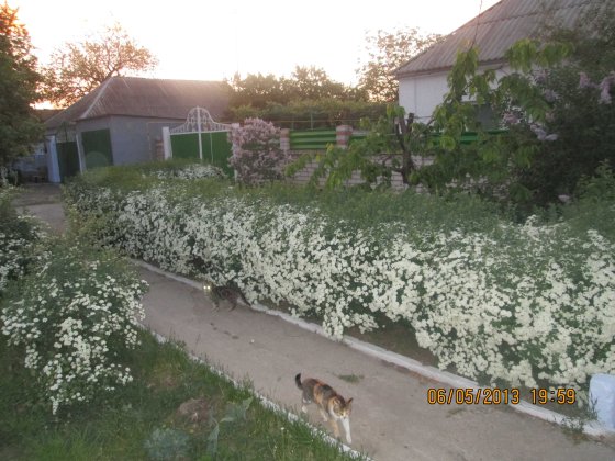 Продам будинок (55 000 $) Николаев