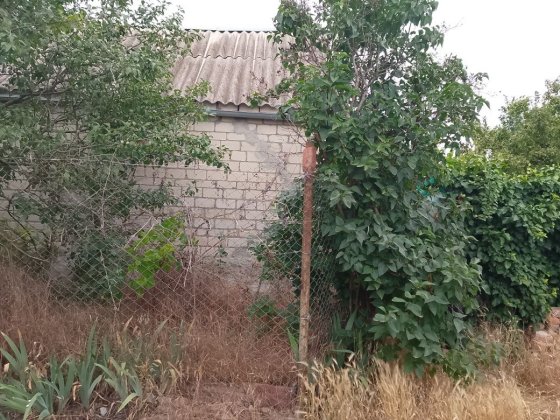 Продаем дачу с участком Николаев