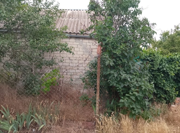 Продаем дачу с участком - фото 1