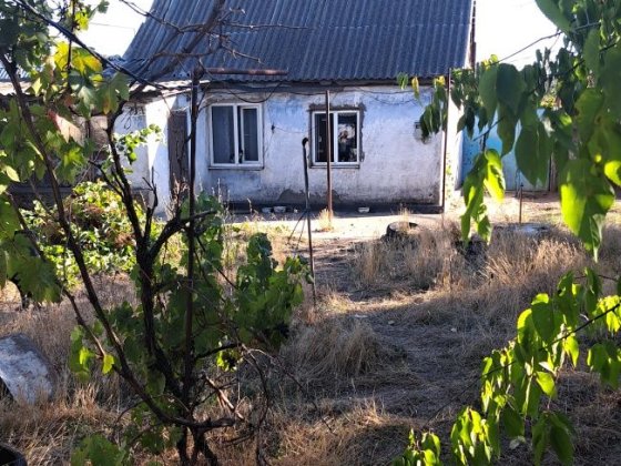 Продаю дом в Лесках с участком 4,6 сотки Миколаїв