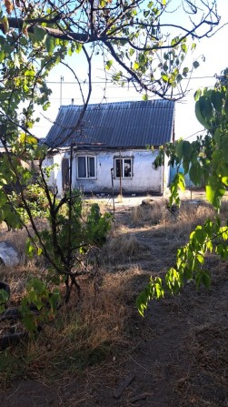 Продаю дом в Лесках с участком 4,6 сотки - фото 1