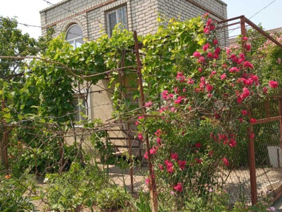 Продам дачу у садовому товаристві Николаев