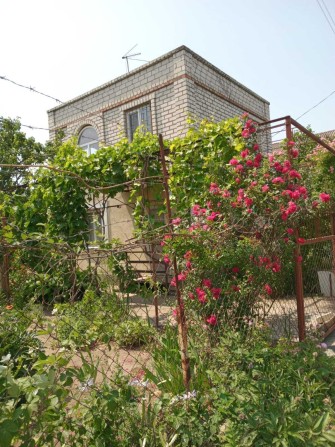 Продам дачу у садовому товаристві - фото 1