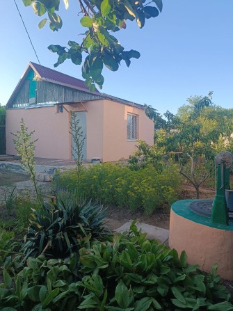 Продаю дачу 2-Сады 6500 Ухоженная. - фото 1