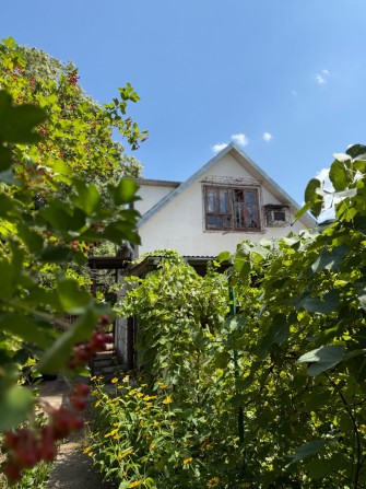 Продам дачу на береговой линии - фото 1