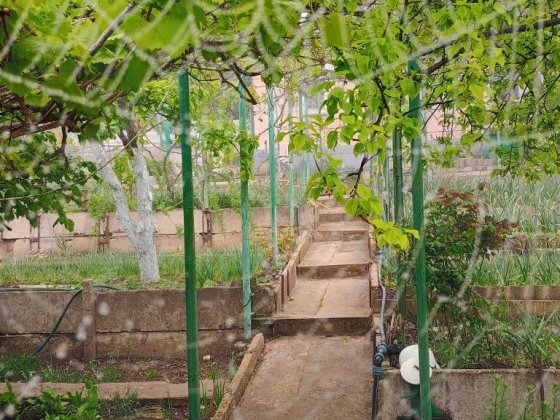 Продаётся уютная дача в живописном месте, у самой реки Миколаїв