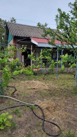 Продаю дачу Варварівка Сади - 2 , СТ " Мічурінець " хороший стан - фото 1