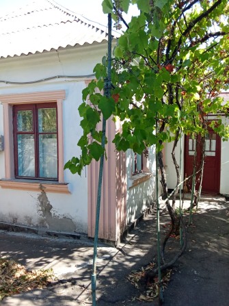 Продаю дом под ремонт - фото 1