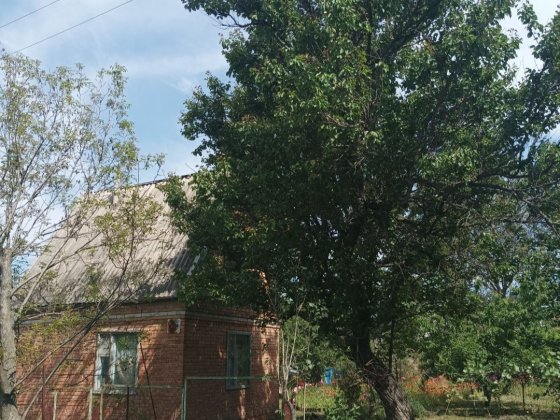 Дача СТ" Зелёный Гай" Днепр