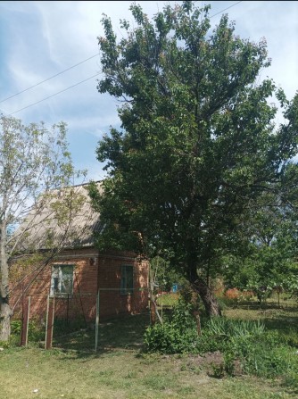 Дача СТ" Зелёный Гай" - фото 1