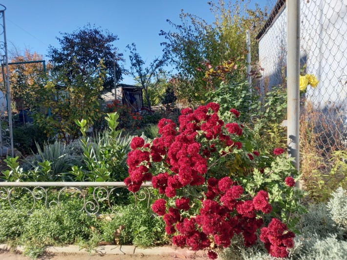 Полдома,отдельный двор,район Колоса - фото 1