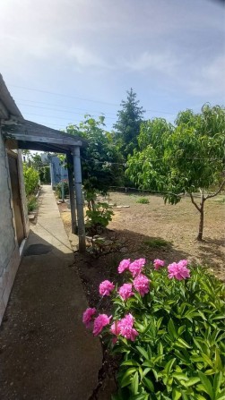 Продам будинок в Ракетній Рощі(Гащі) - фото 1