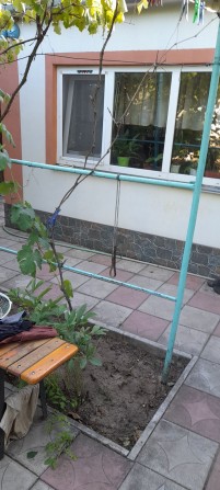 Продается дом,в хорошем жилом состоянии - фото 1