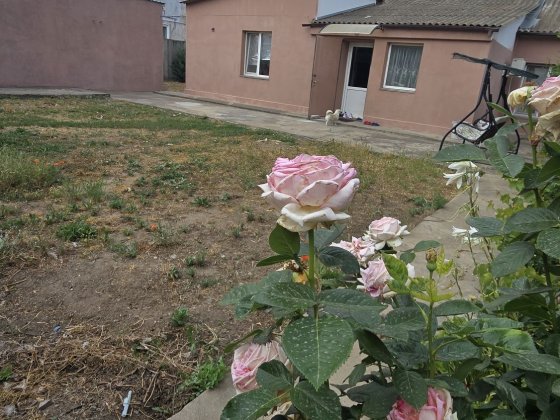 Продаж будинок з ремонтом для родини Миколаїв