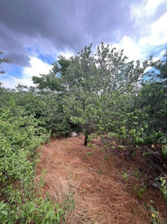 Продам дачу в черте города, р-н  Ракетная Роща, остановка ПМК - фото 1