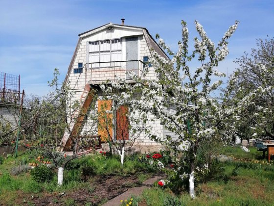 Продам дачу в районі Сливино Миколаїв