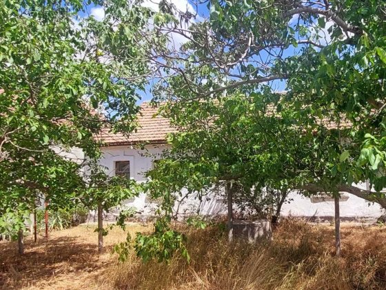 Продажа дома в Варваровке! Миколаїв