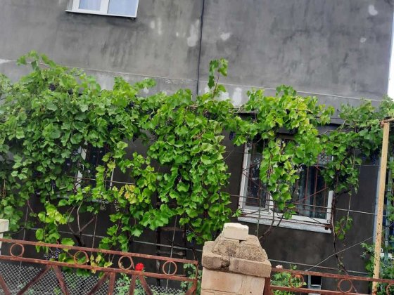 Продаю Дачу-5 к в Тернівці СВТ "Магістраль". Николаев