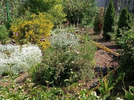 Продаётся Часть дома на Гастелло (173-833) Одеса