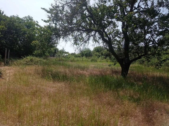 Продаю будинок в Великій Коринихі - фото 1